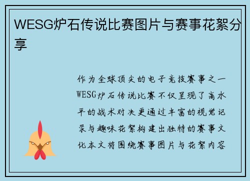 WESG炉石传说比赛图片与赛事花絮分享